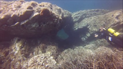 Plongée St Mandrier