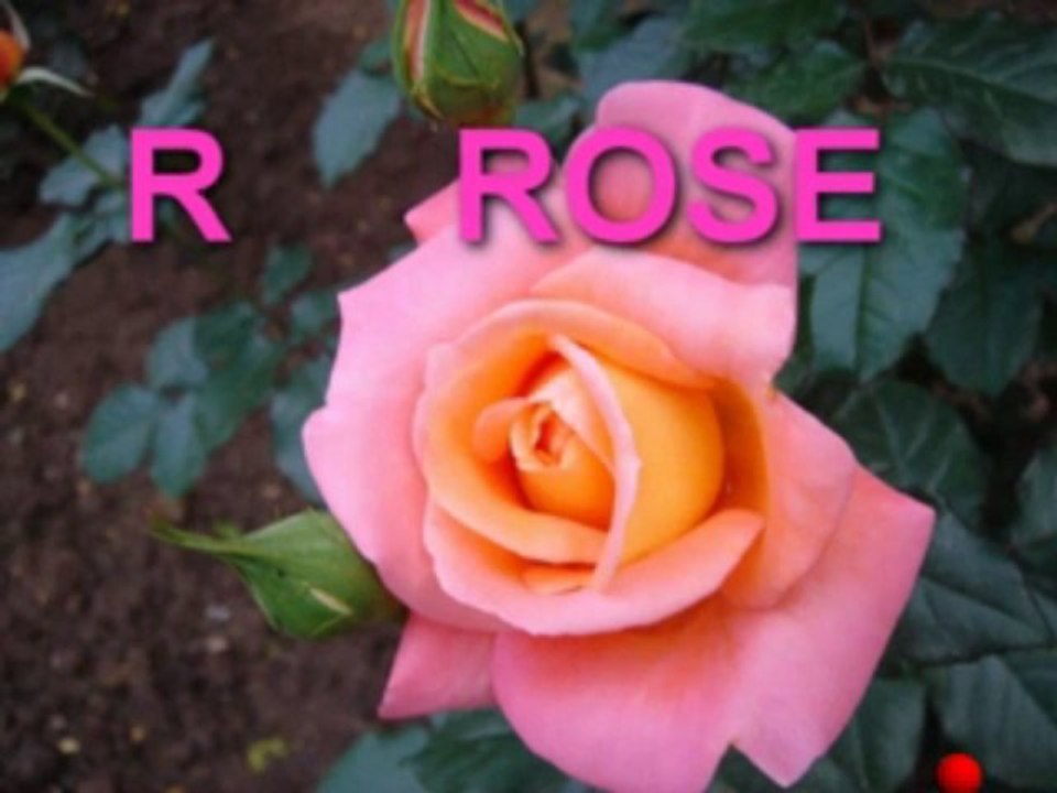 abc Alphabet Song by Kelbe Schrank_  by  Aslam  Nasir