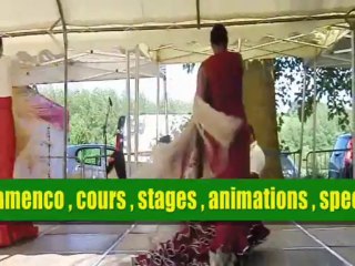 pascal Gaubert daily motion version 2