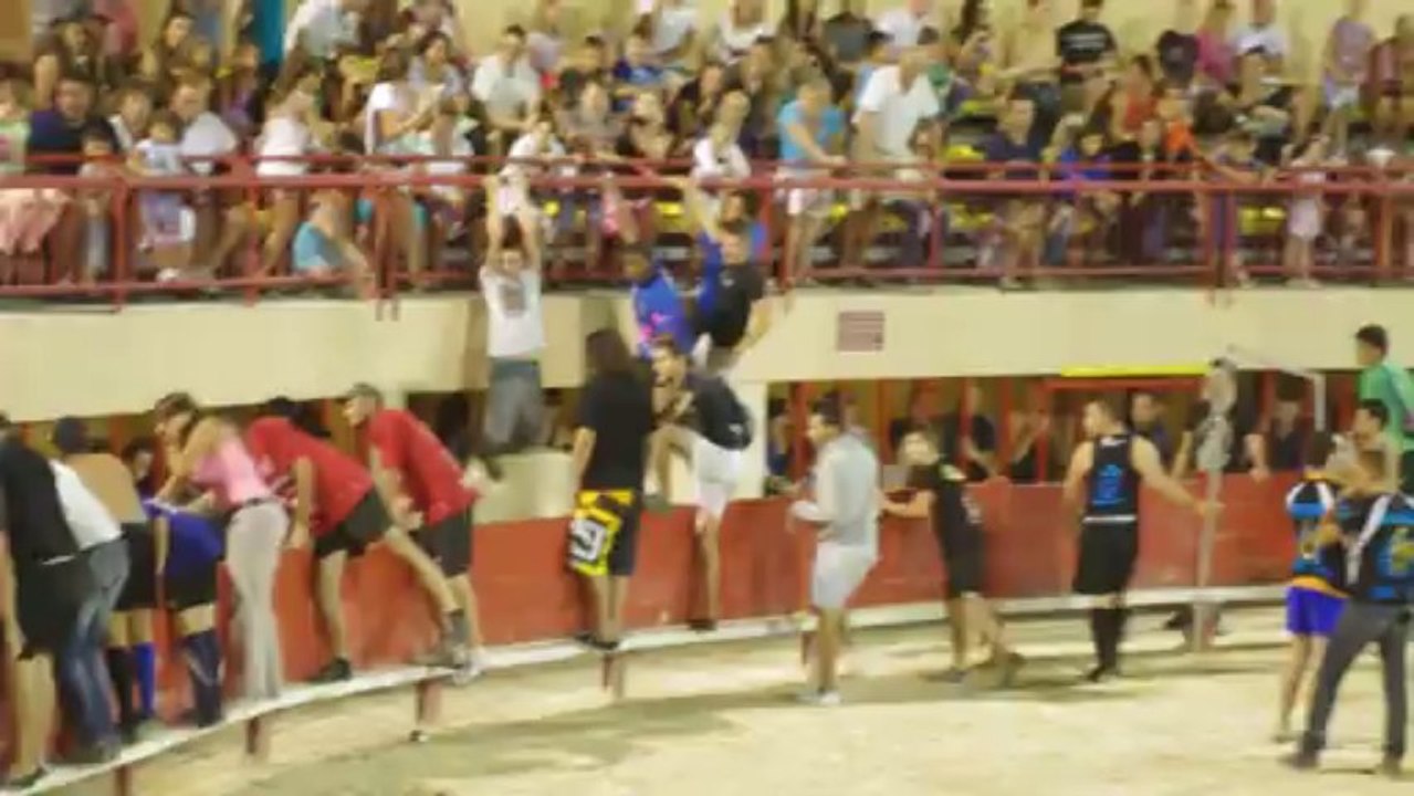 Toro Piscine 130813