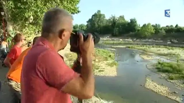 Stage photo à Sommières (Gard)