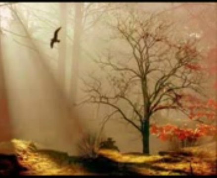 SesliSaray.Com | Sesli Chat,Sesli Sohbet ve Kameralı Sohbet Sitesi