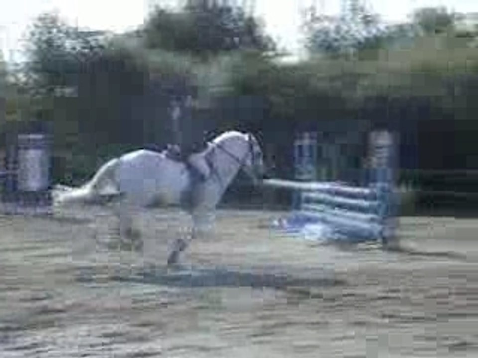 La Vaillantière mai 06