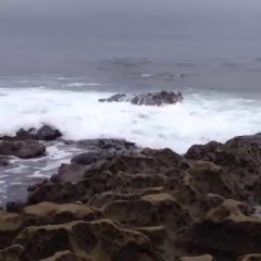 Mobile Capture Jul 27, 2013