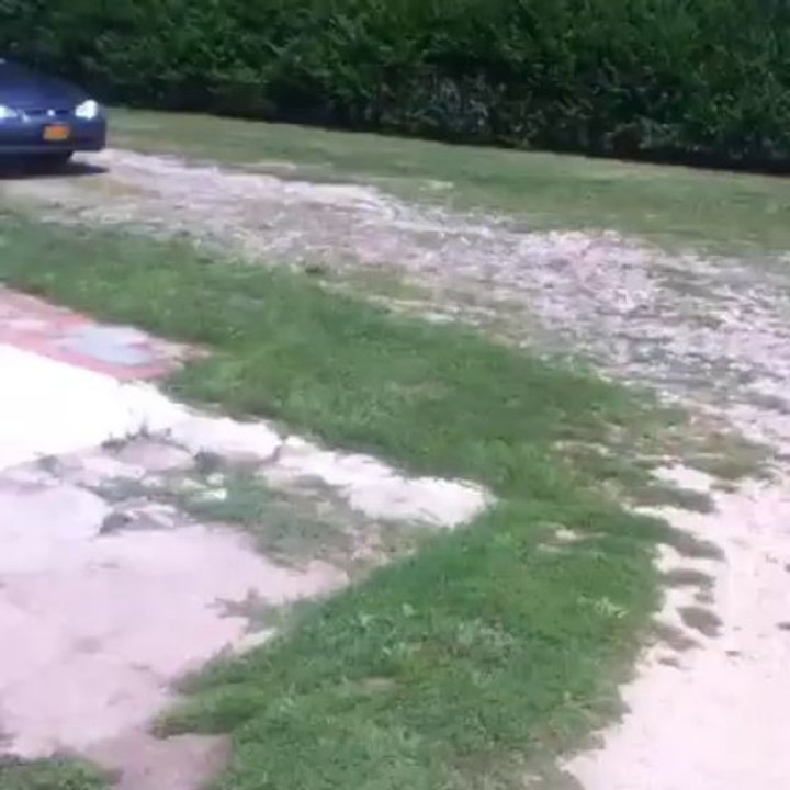 Going on an adventure