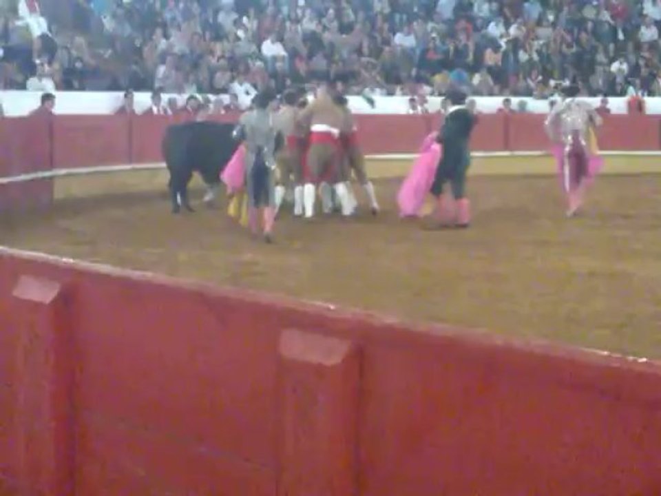 RUI PEDRO DOS AMADORES DA CHAMUSCA PEGA TOIRO DE FRANCISCO ROMÃO TENÓRIO EM TOMAR