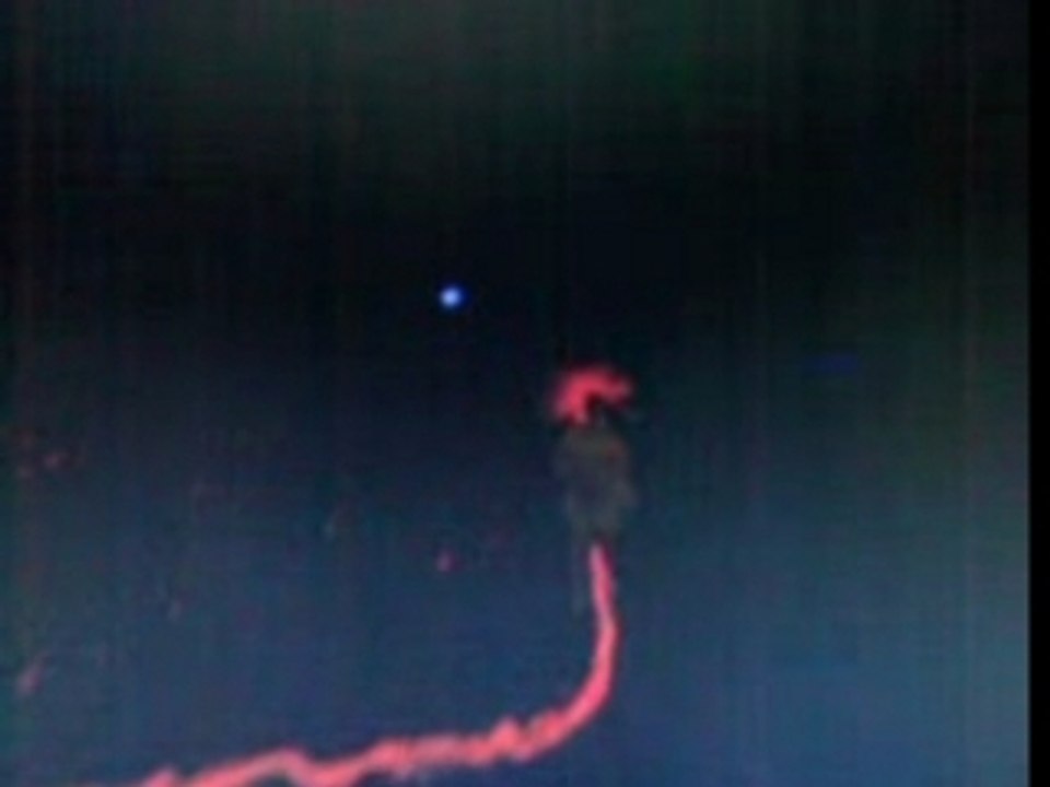 Max Payne chute