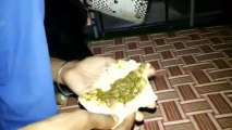 Cocker English Female Dog Eat Indian Bread & In Punjabi Style_(720p)