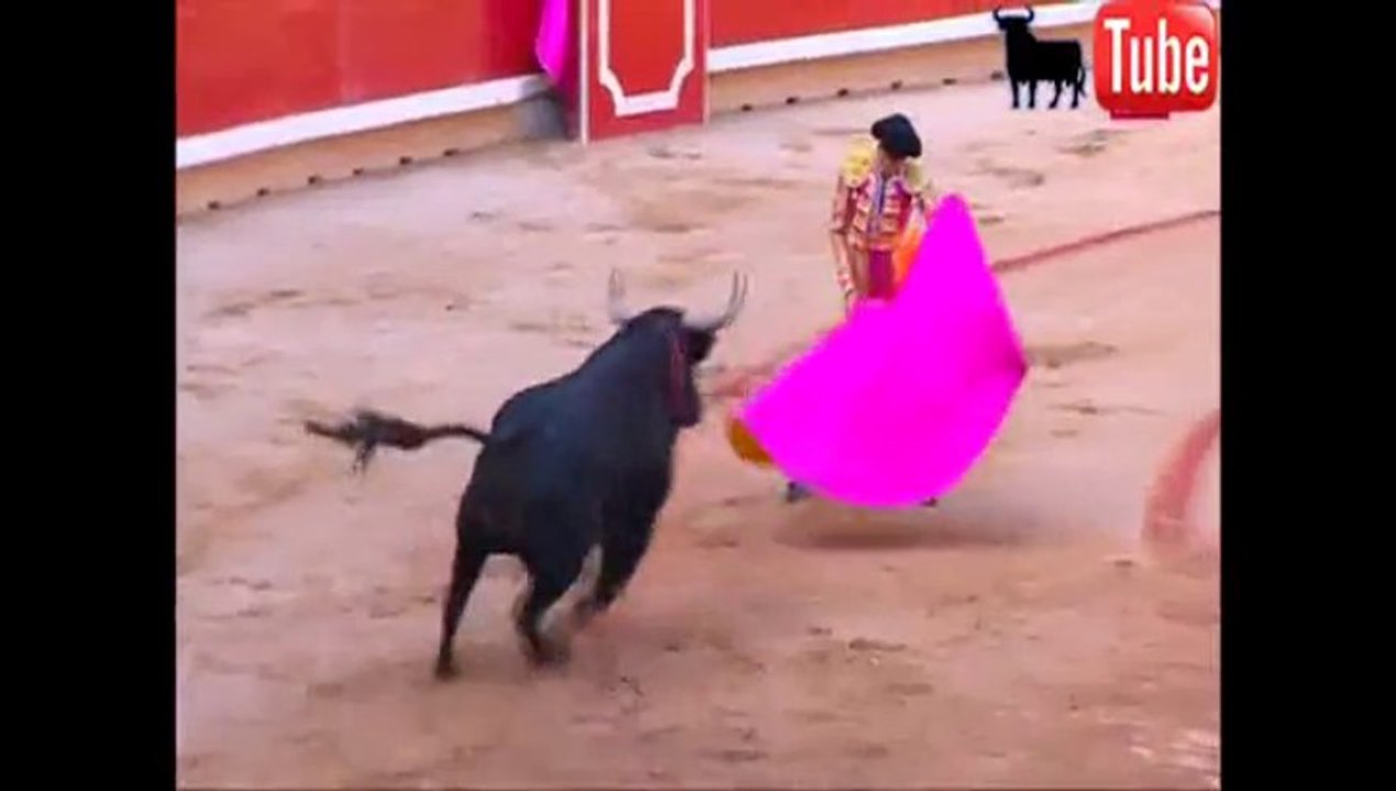 David Mora a la veronica en San Fermin 13