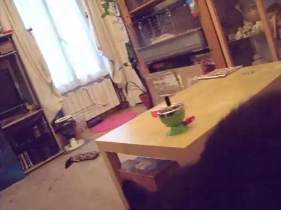 bonjour de Charbon 2.