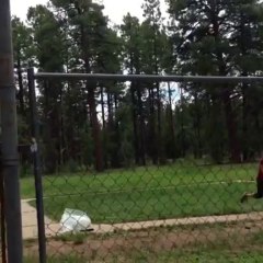 Making dry ice bombs Having a fun time watching them blow up