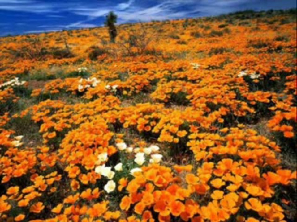 Ufuk Yıldırım-Sensizlik Haram Bana_