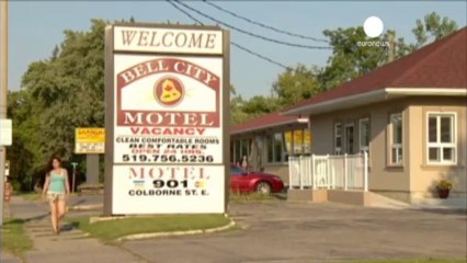 Canada: Dozens of snakes uncovered in motel room