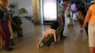 Une fillette dort sur les bagages tirées par son père à l'Aéroport!!