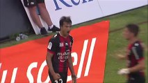 But Dario CVITANICH (20ème) - OGC Nice - Stade Rennais FC (2-1) - 2013/2014