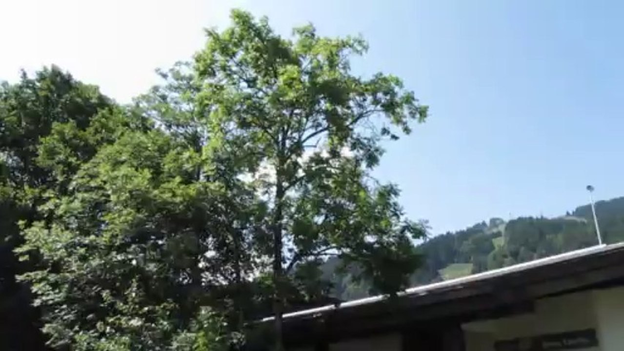 en allant au marché!