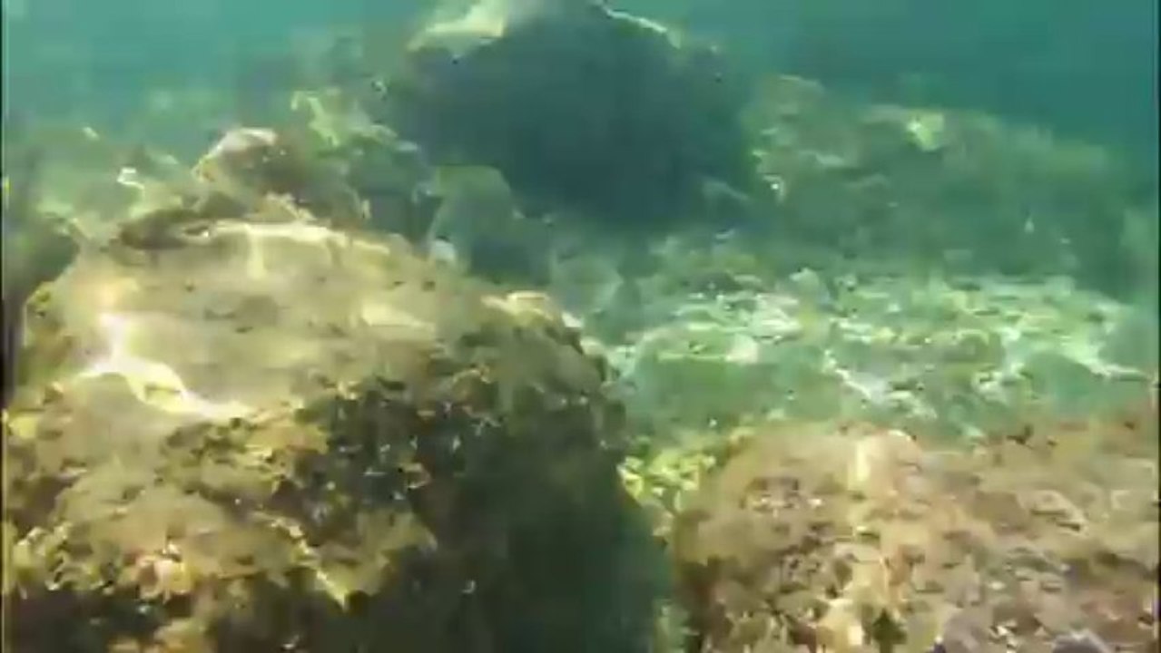 50 secondes de fraicheur