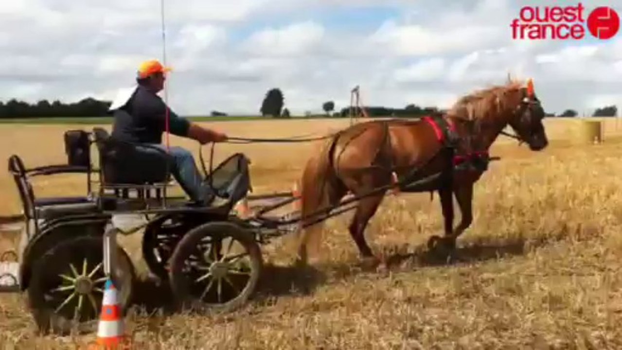 Trek équestre - Rando