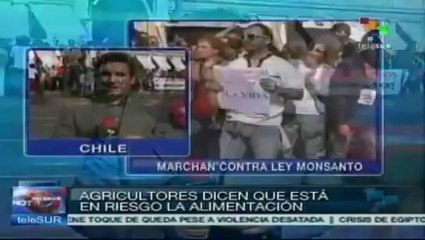 Chilenos marchan este sábado contra Ley Monsanto