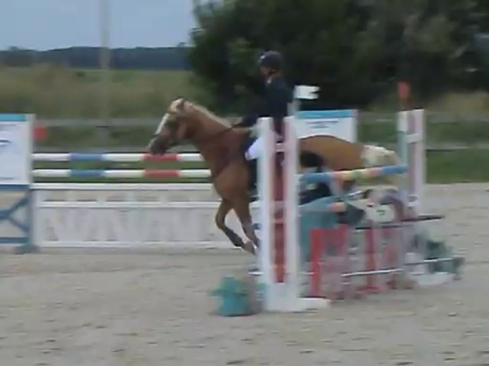 GOLD LIVERDY 08-2013