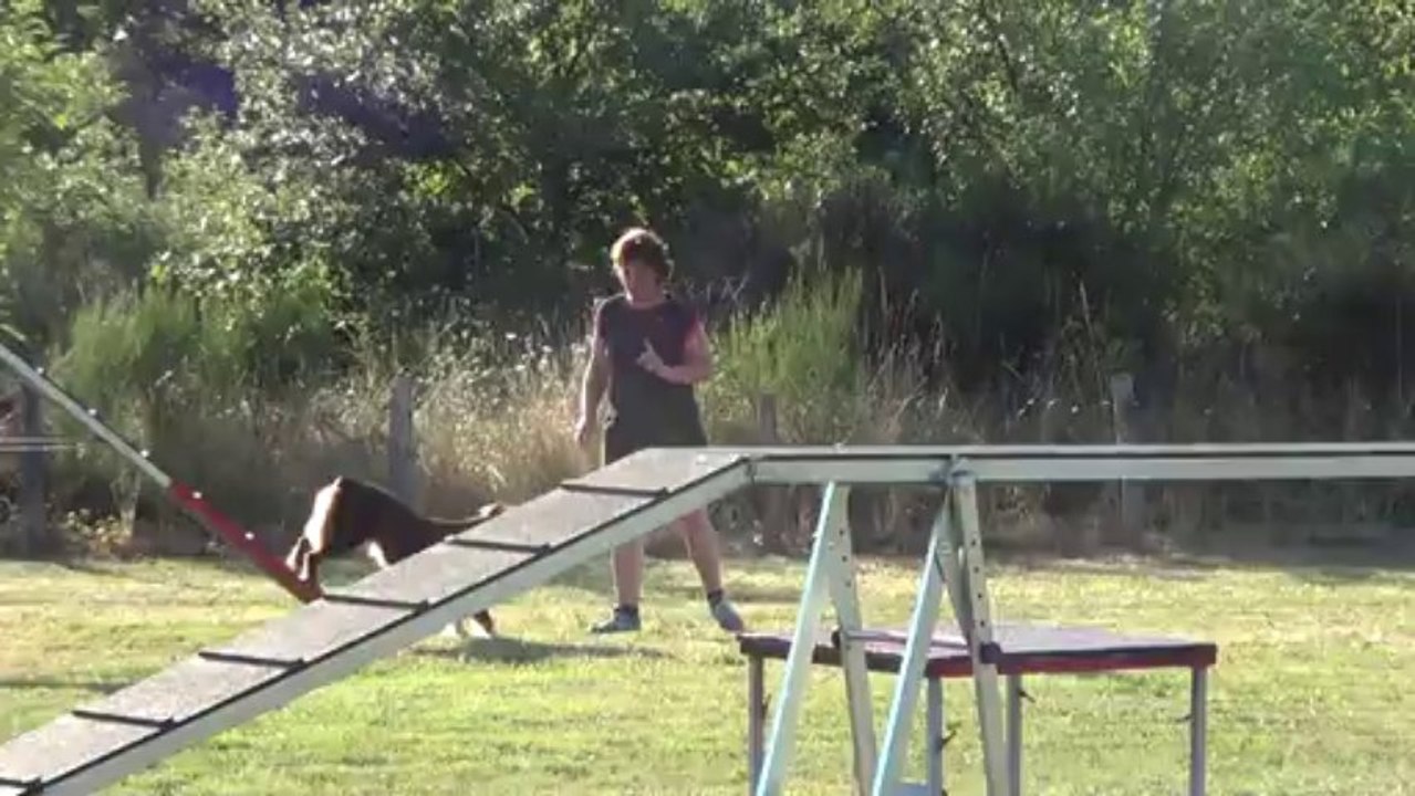 Gioia vourles agility le 18/08/2013