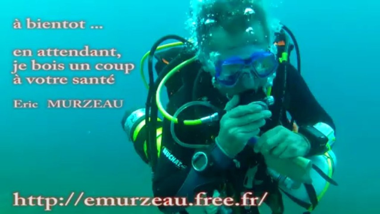 les tortues
