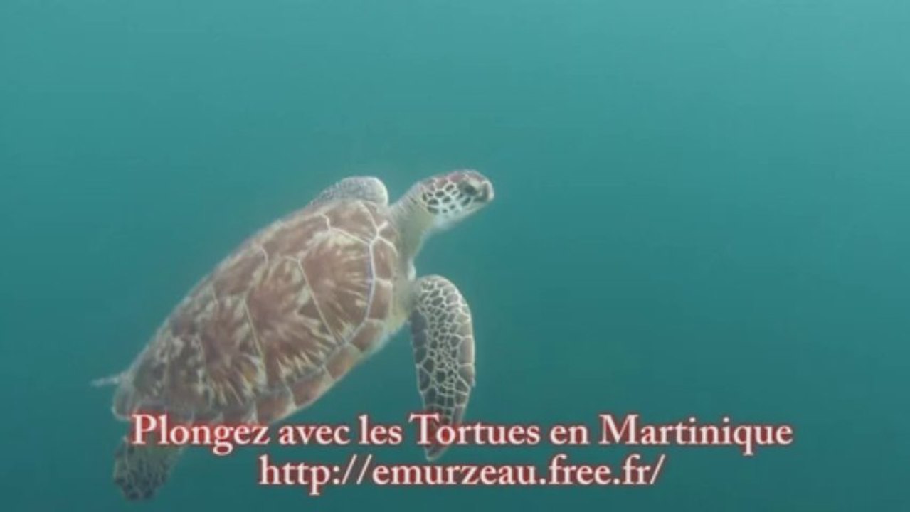 martinique