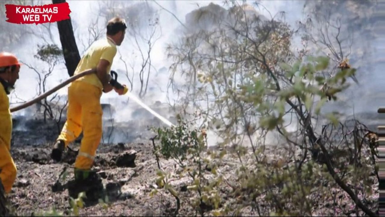 Hamız Dağında Yangın
