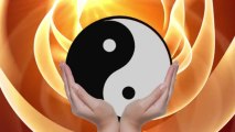 Yin and Yang - Royalty Free Massage Therapy Video #94