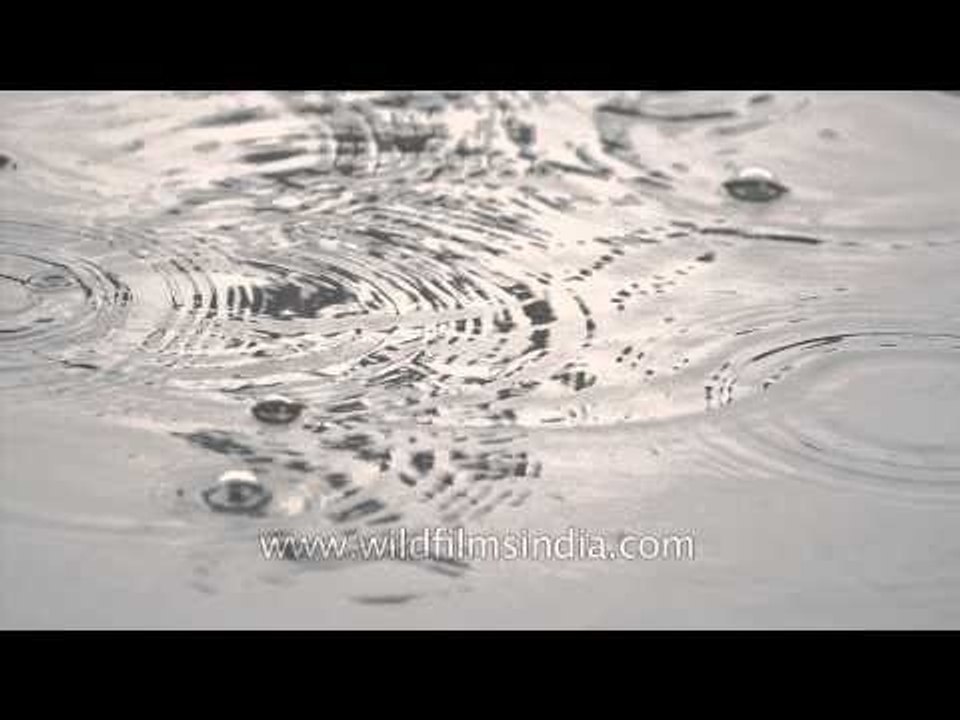 Monsoon rain rippling down the road