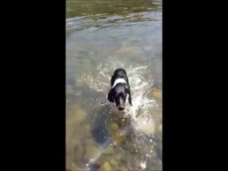 20130813　初！久慈川