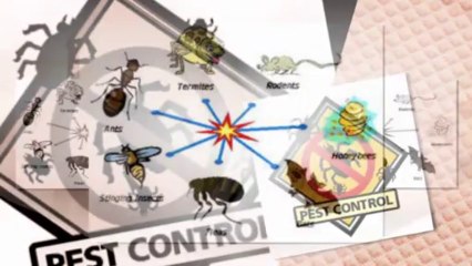 Benefits of Pest Control Gilbert Services
