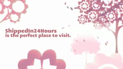 ShippedIn24Hours - The #1 fast Shipping Online Store