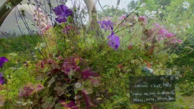 Festival des jardins de Chaumont sur Loire