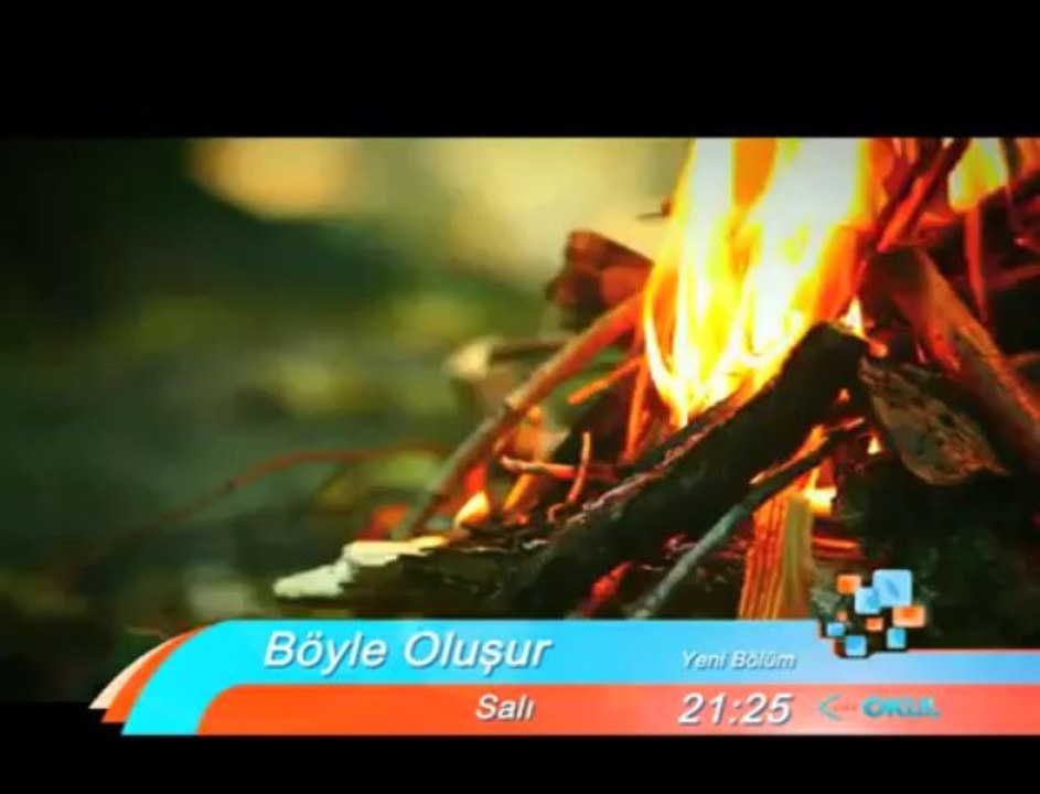 Programın konusu ormanlar