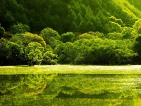 바카라잘하는법 wowow7.com 온라인바카라