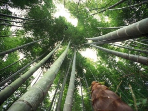 인터넷바카라 wowow7.com 라이브바카라사이트