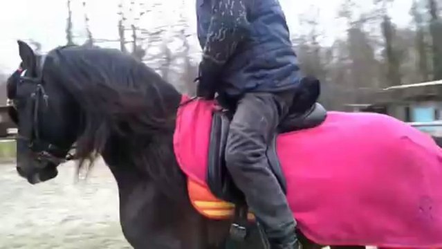 jade galop main droite