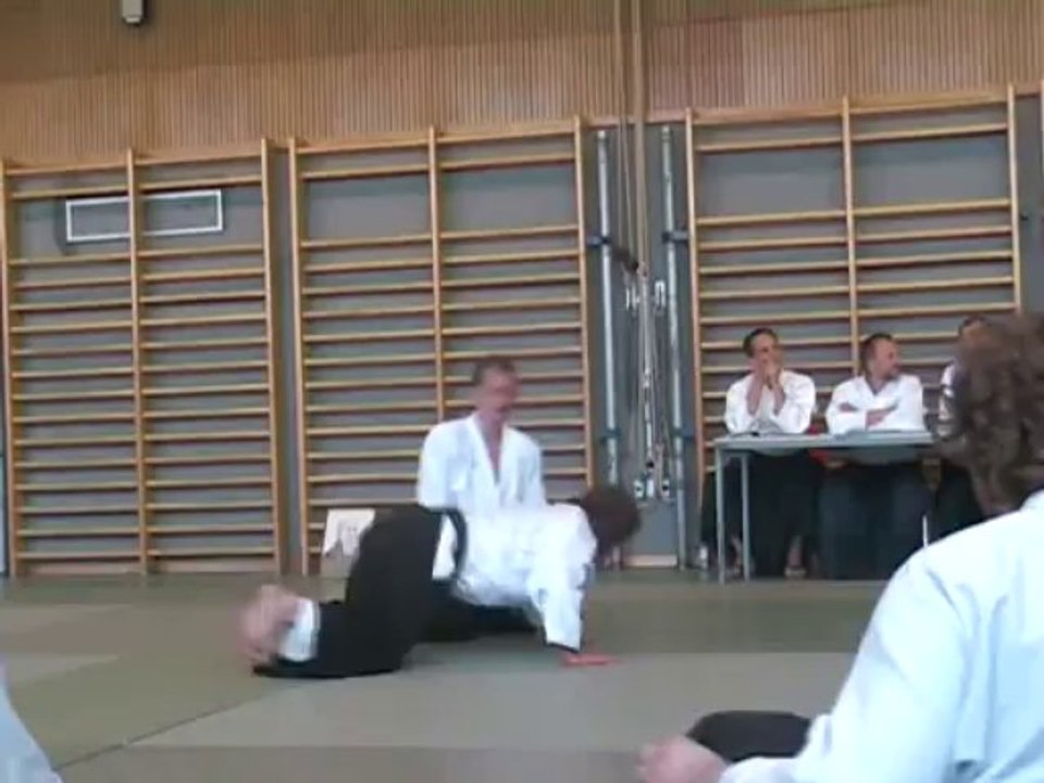 Aikido Danprüfungen 2007 - Aikido Linz