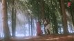 Sahibaan Meri Sahibaan Full HD Song _ Sahibaan _ Rishi Kapoor, Madhuri Dixit