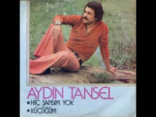 Aydın Tansel "Neydi Aradığım" 1975