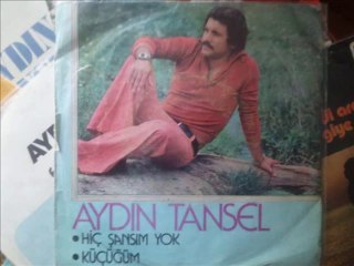 Aydın Tansel "Sessizce Geliver" 1976
