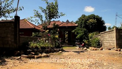 Indonesia-Bali-Biguin Beach-1