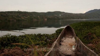 Indonesia-Sumatra-Landscapes-1