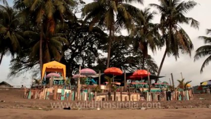 Indonesia-Sumatra-Landscapes-9