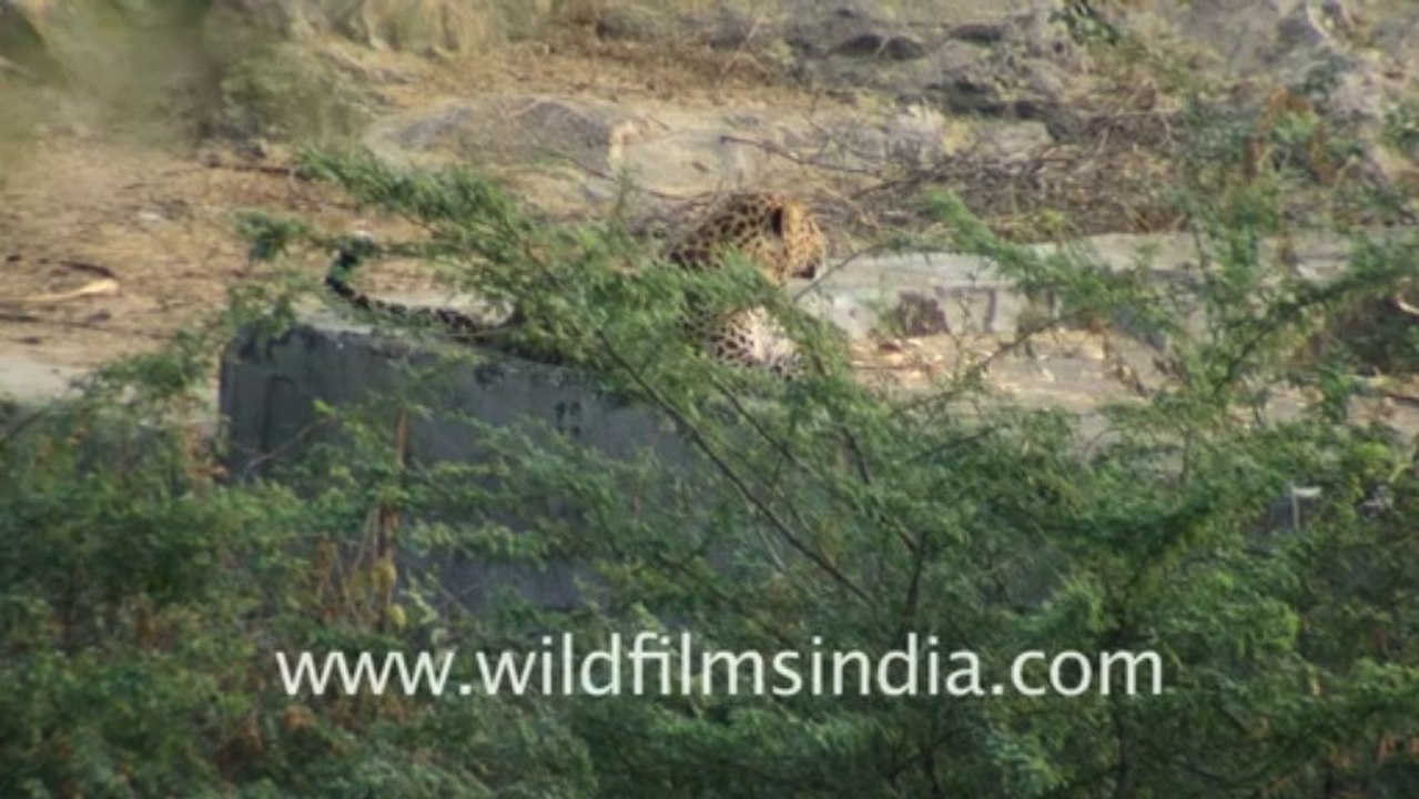 Jaisamand hdv tape 3
