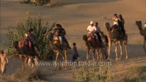 Rajasthan-Sam dunes-HDC-8 camel