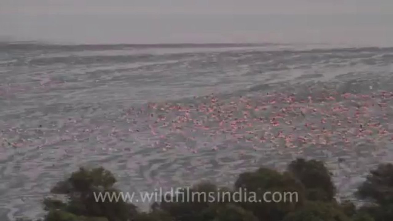 Mumbai-47