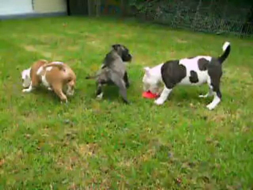 vidéo du 22.08.2013 des 3 soeurs disponibles ...