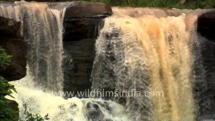 Panna-ken river-hdc-12-1